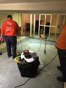 Water Damage Team Conducting Mold Removal